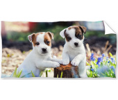 Froté osuška Bráškové Jack Russell Teriér