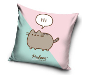 Dětský polštářek Kočička Pusheen Já Košišta