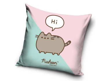 Dětský polštářek Kočička Pusheen Já Košišta