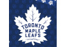 Hokejové povlečení NHL Toronto Maple Leafs Shields