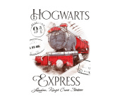 Dětský ručník Harry Potter Bradavický Express 30x50 cm