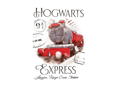 Dětský ručník Harry Potter Bradavický Express 30x50 cm