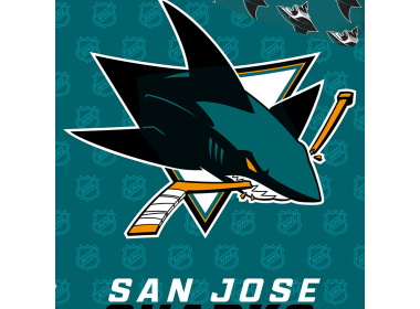 Hokejové povlečení NHL San Jose Sharks Shields