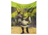 Dětská deka Shrek a Oslík 130x160 cm