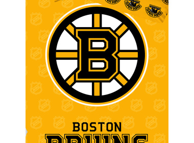 Hokejové povlečení NHL Boston Bruins Shields