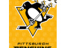 Hokejové povlečení NHL Pittsburgh Penguins Shields